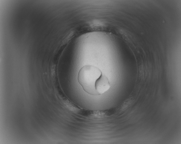 X0000067830278200604201223