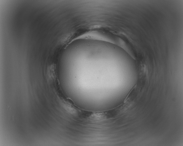 X0000067830280200604201223