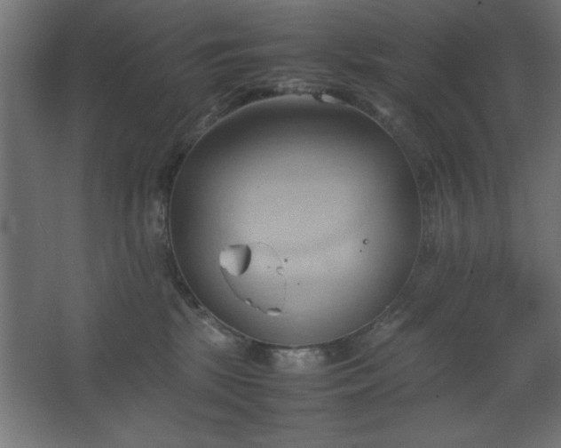 X0000067830281200604201223