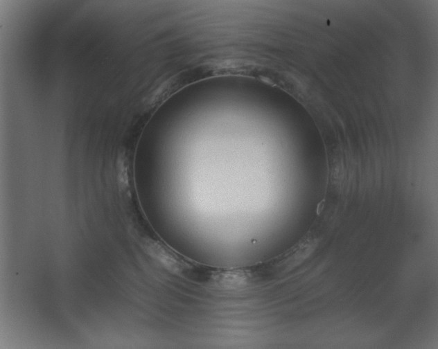 X0000067830282200604201223