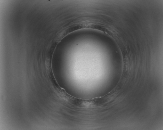 X0000067830283200604201223