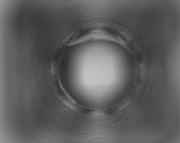 X0000067830284200604201223