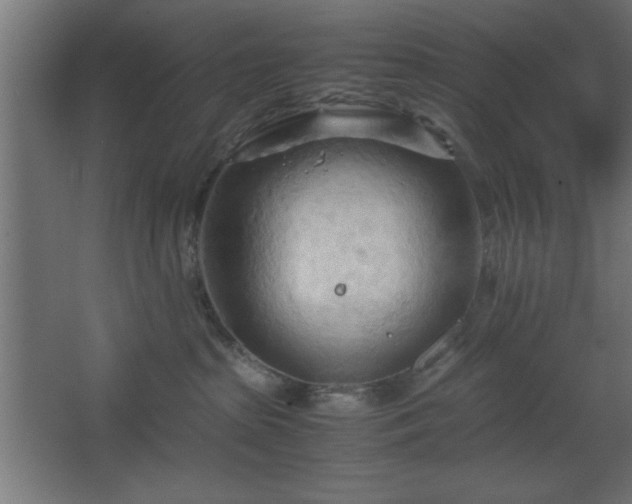 X0000067830285200604201223