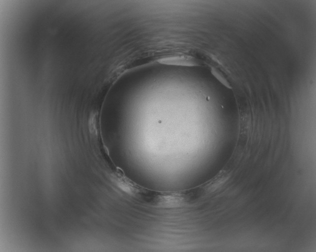 X0000067830286200604201223