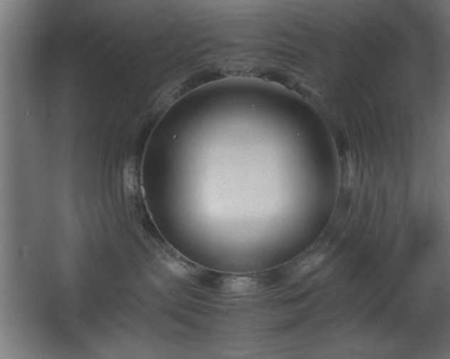 X0000067830287200604201223