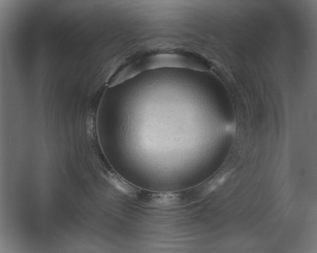 X0000067830288200604201223