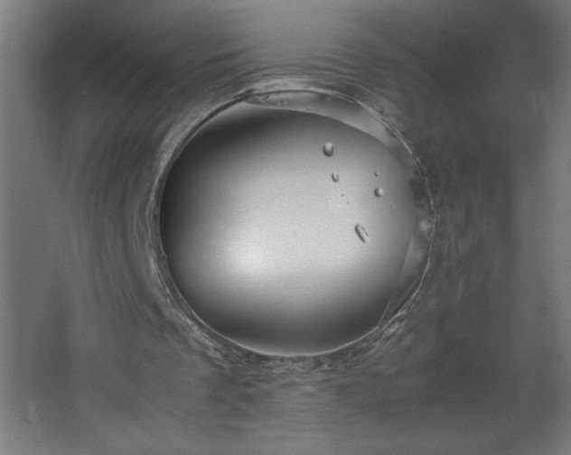 X0000067830289200604201223