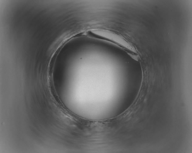 X0000067830290200604201223