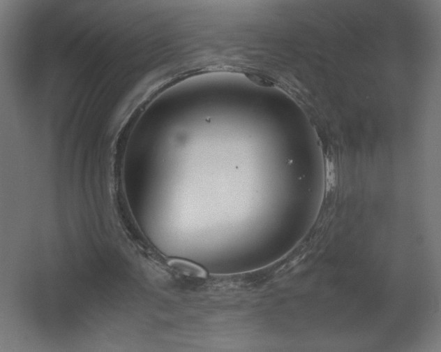 X0000067830291200604201223