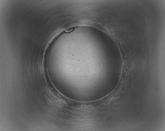 X0000067830292200604201223