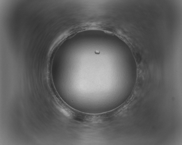 X0000067830293200604201222