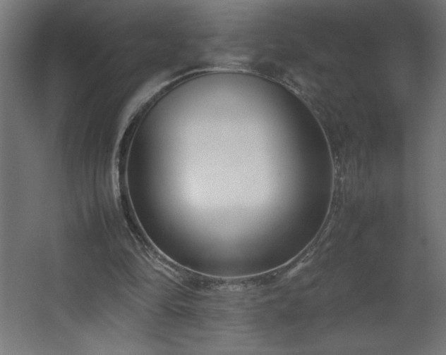 X0000067830294200604201222