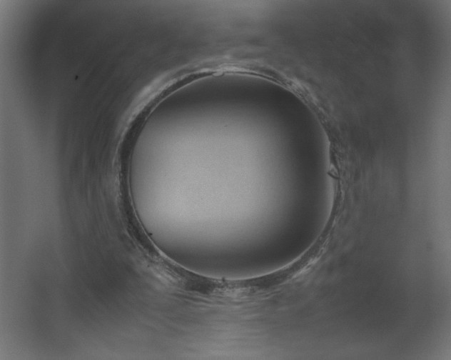 X0000067830295200604201222