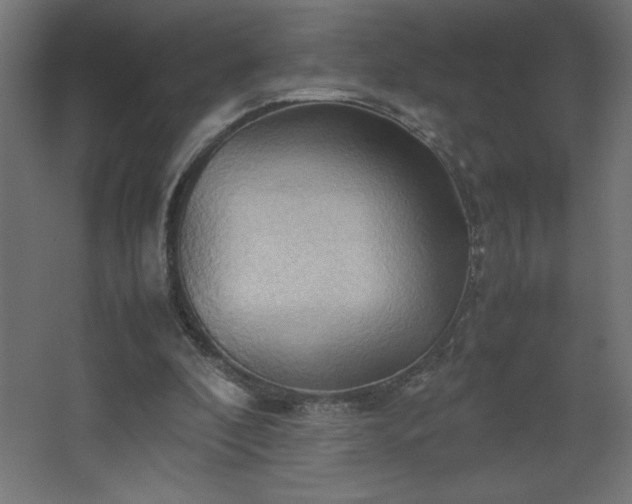 X0000067830296200604201222