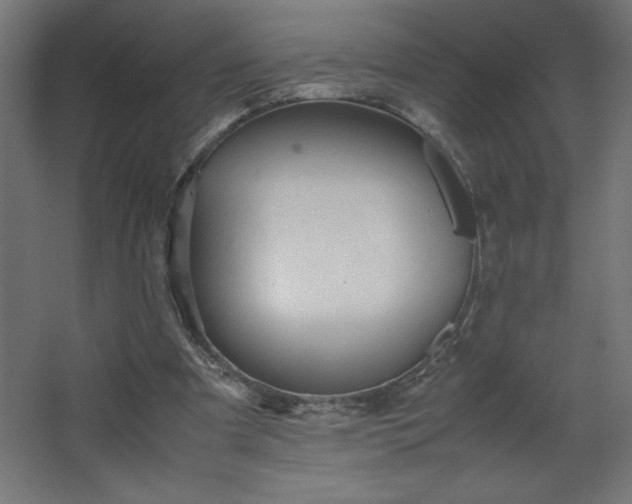 X0000067830297200604201222