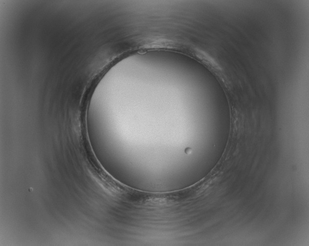 X0000067830298200604201222