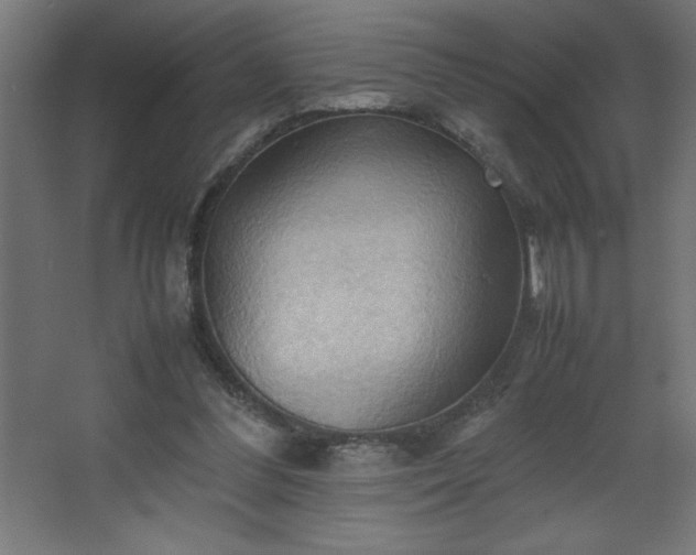 X0000067830300200604201222