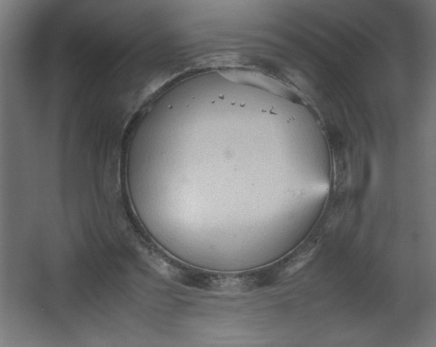 X0000067830301200604201222