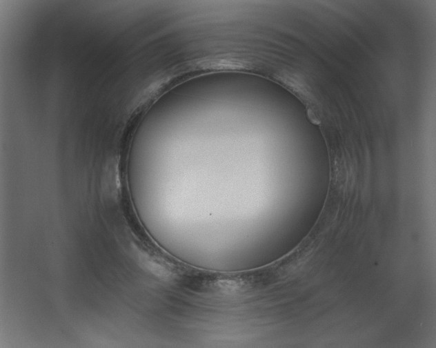 X0000067830302200604201222