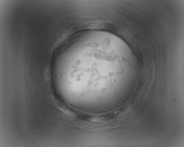 X0000067830303200604201222