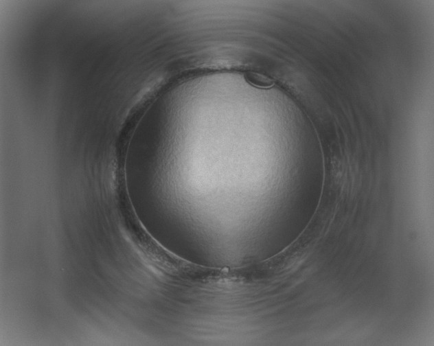 X0000067830304200604201222