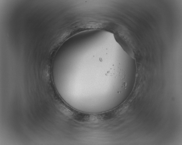 X0000067830305200604201222