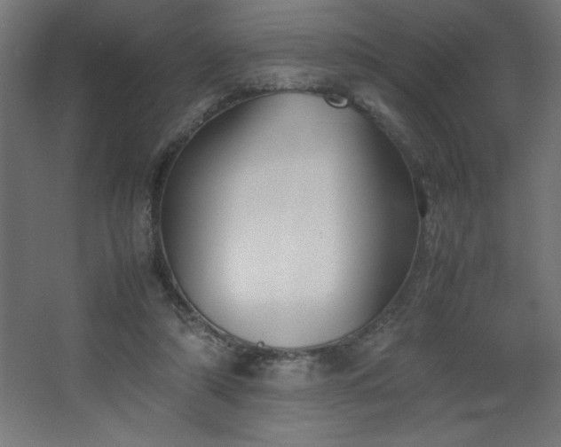 X0000067830306200604201222