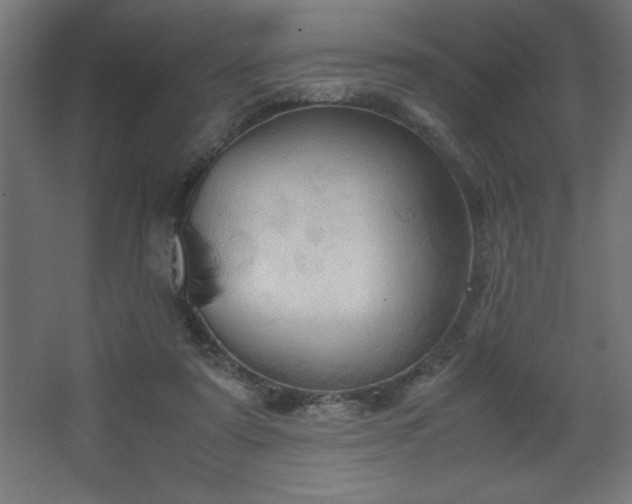 X0000067830307200604201222