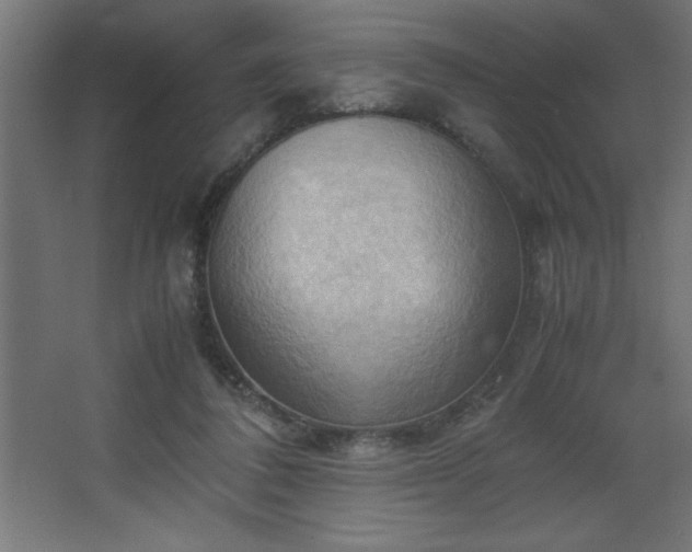 X0000067830308200604201222