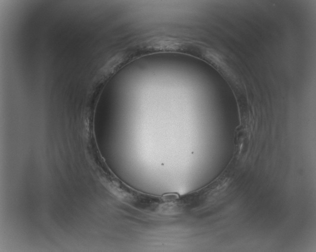 X0000067830309200604201222