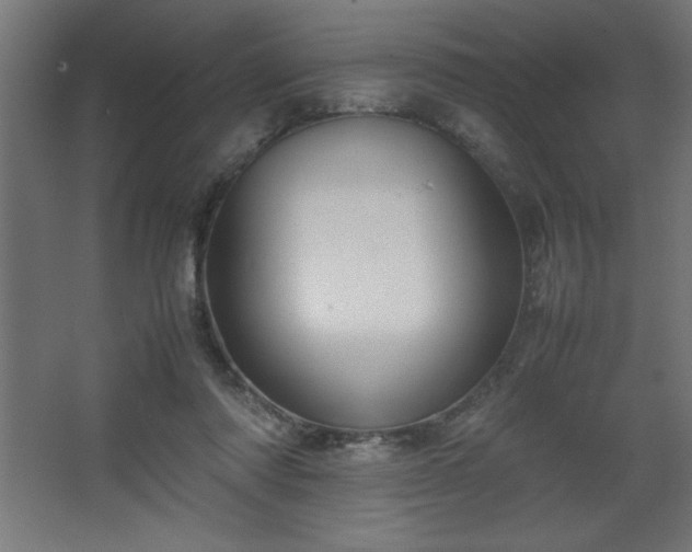 X0000067830310200604201222