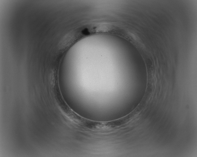 X0000067830311200604201222