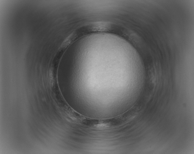 X0000067830312200604201222