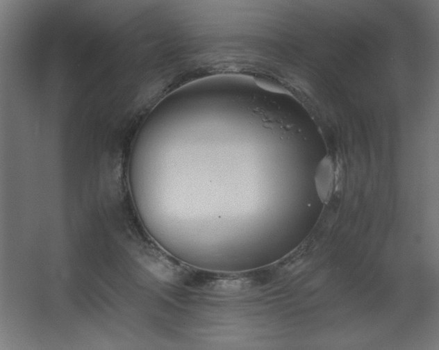 X0000067830314200604201222