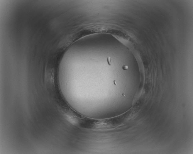 X0000067830315200604201222