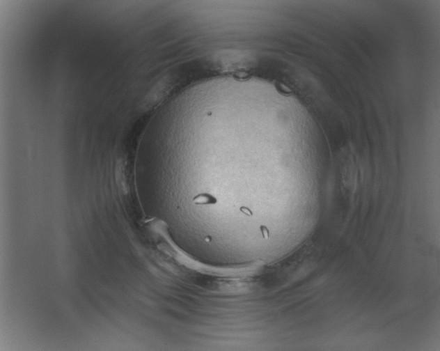 X0000067830316200604201222