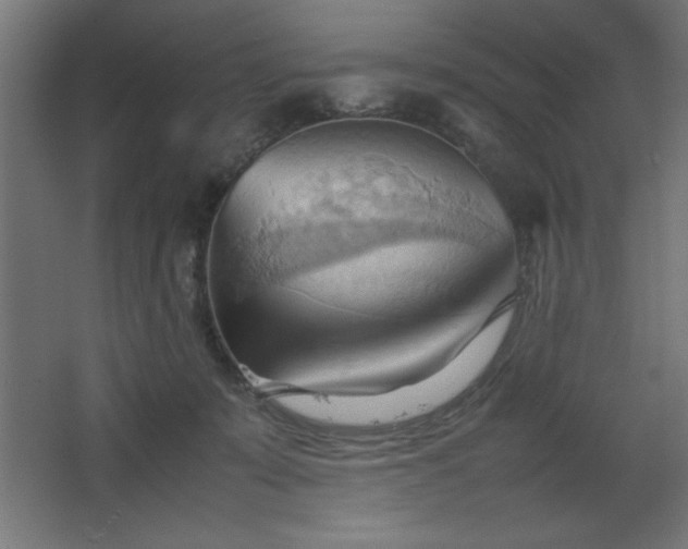 X0000067830319200604201222