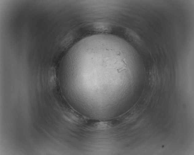 X0000067830320200604201222