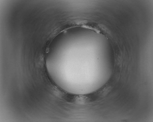 X0000067830321200604201222