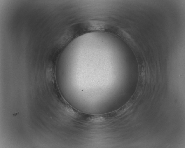 X0000067830322200604201222