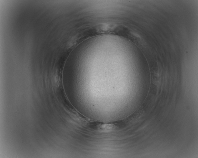 X0000067830324200604201222