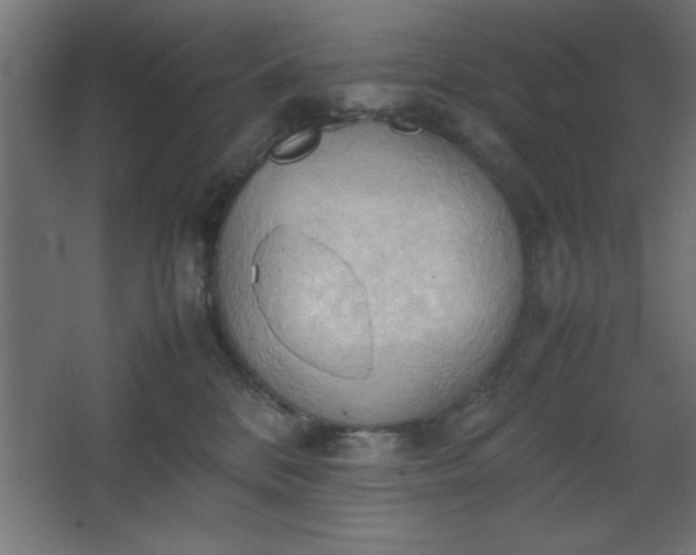 X0000067830328200604201222