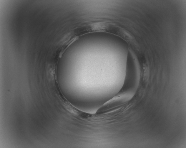 X0000067830329200604201222