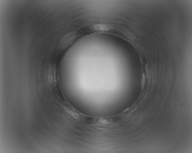 X0000067830330200604201222