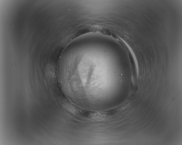 X0000067830331200604201222