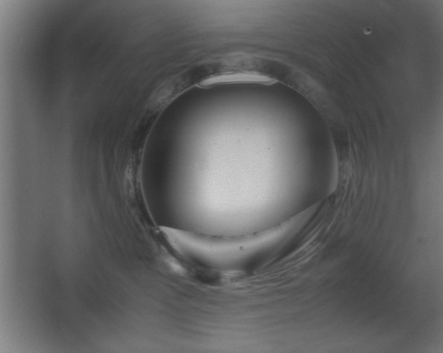 X0000067830333200604201222