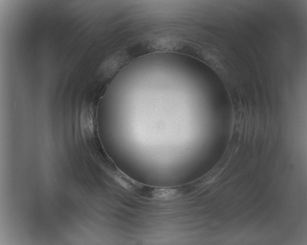 X0000067830334200604201222