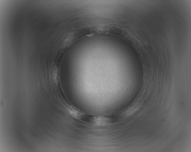 X0000067830336200604201222