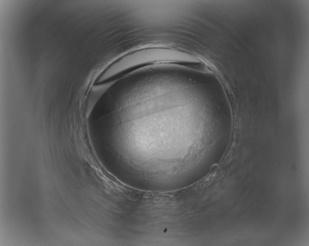 X0000067830337200604201221