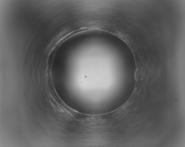 X0000067830338200604201221